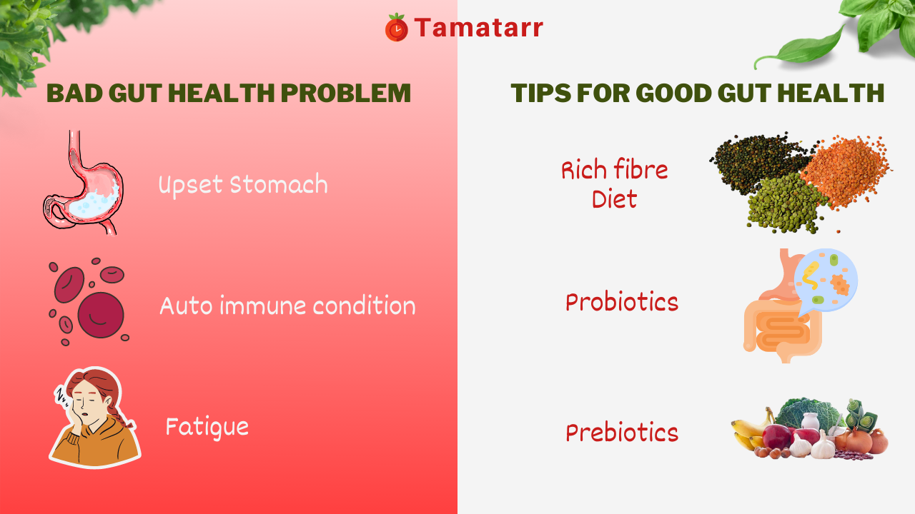 diet for healthy stomach